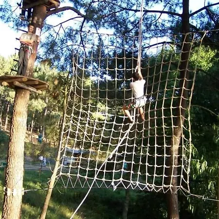 Apartmán Estudio Camelia