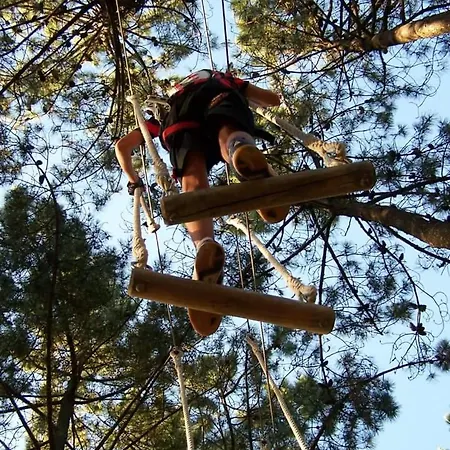 Estudio Camelia Appartamento *