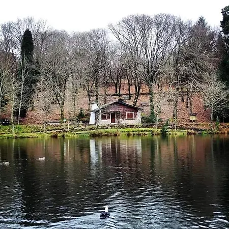 Estudio Camelia * Marín