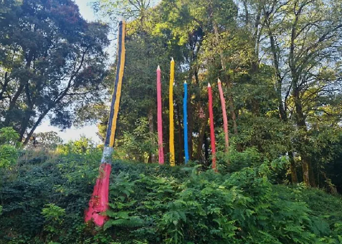 Estudio Camelia * Marín