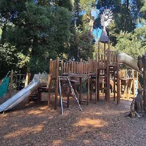 Estudio Camelia * Marín