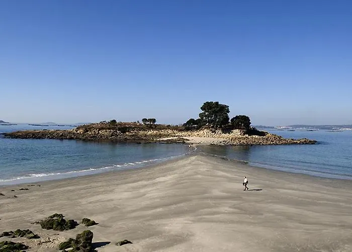 Estudio Camelia Appartement *