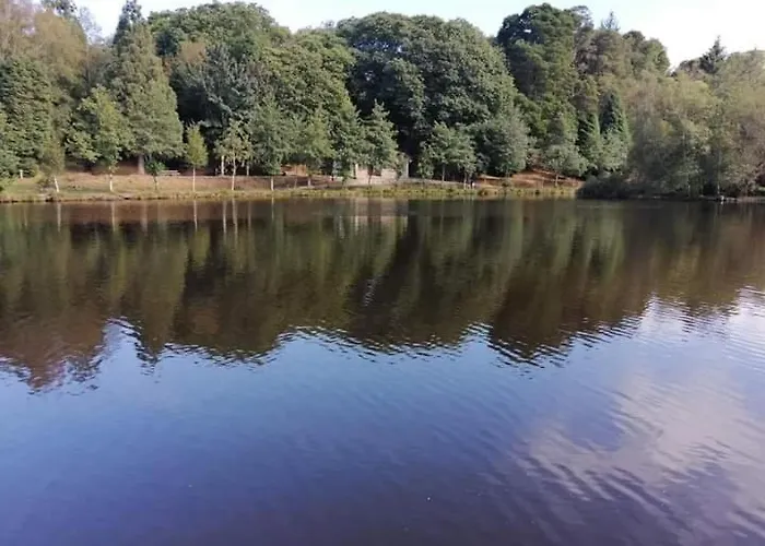 Estudio Camelia Marín