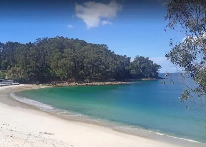 Estudio Camelia * Marín