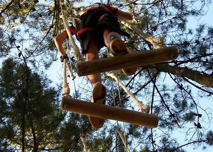 Estudio Camelia Appartement *