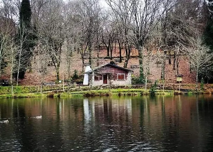 Estudio Camelia * Marín