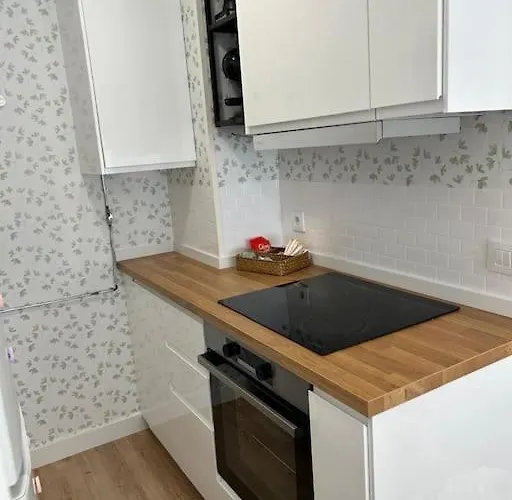 Appartement Estudio Camelia *