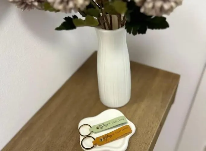 Estudio Camelia Apartmán Marín